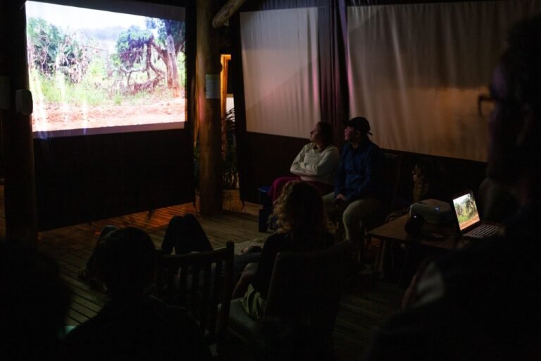Cinema de grupo_8