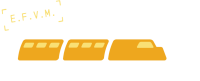 logo_CVMIII_cor_fnd_transp